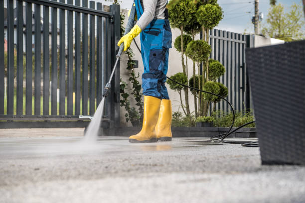 Best Fence Pressure Washing  in Girard, IL