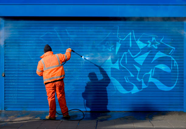 Best Garage Pressure Washing  in Girard, IL